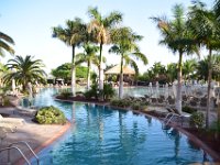 Boudry Andy - Gran Canaria - Lopesan Baobab (43) : Boudry Andy - Gran Canaria